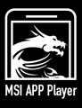 MSI Gaming Monitor